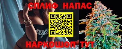 прущий лед Будённовск